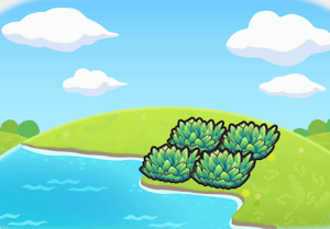 海浪邊的草叢