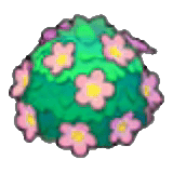 可愛花籬