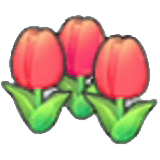 可愛的花