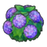 水潤花籬
