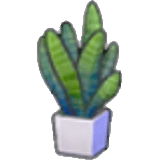 扁平植栽