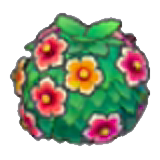 活力花籬