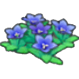 岩地的花