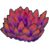 紅色的草