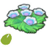 海底的花的種子