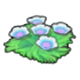 海底的花