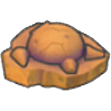 頭蓋化石