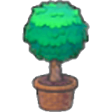 扭扭植栽