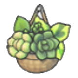 壁掛綠植