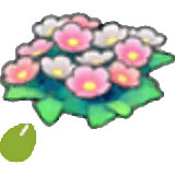 草地的花的種子