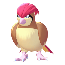比比鳥