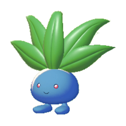 走路草