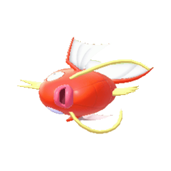 鯉魚王