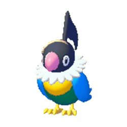 聒噪鳥